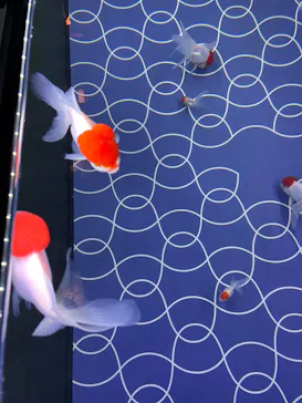 すみだ水族館に投稿された画像（2022/3/14）