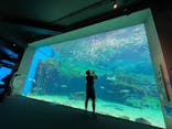 九十九島水族館海きららに投稿された画像（2022/3/14）
