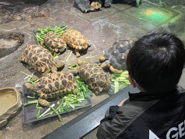 サンシャイン水族館に投稿された画像（2022/3/14）