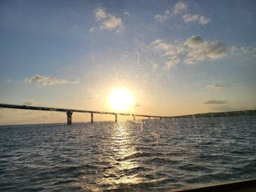 ベイクルーズ・宮古島 モンブランに投稿された画像（2022/3/13）