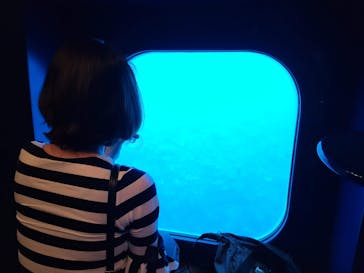 ベイクルーズ・宮古島 モンブランに投稿された画像（2022/3/13）