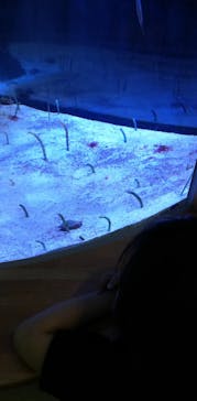 名古屋港水族館に投稿された画像（2022/3/14）