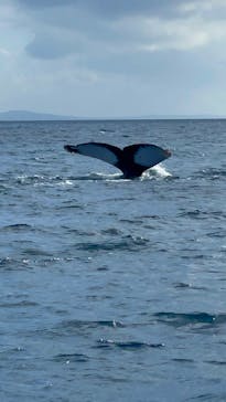 Sea World（シーワールド）に投稿された画像（2022/3/14）