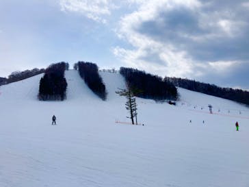 戸隠スキー場に投稿された画像（2022/3/14）