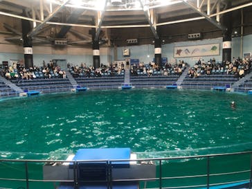 マクセル アクアパーク品川に投稿された画像（2022/3/14）