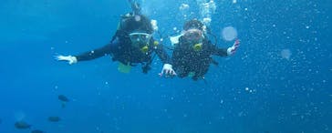 武藤潜水に投稿された画像（2022/3/14）