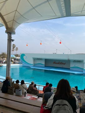 南知多ビーチランド＆南知多おもちゃ王国に投稿された画像（2022/3/14）