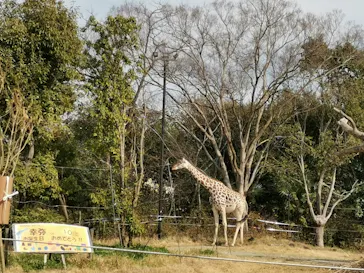 天王寺動物園に投稿された画像（2022/3/14）