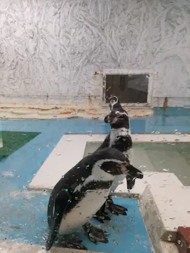 天王寺動物園に投稿された画像（2022/3/14）