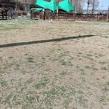 わんダフルネイチャーヴィレッジに投稿された画像（2022/3/14）