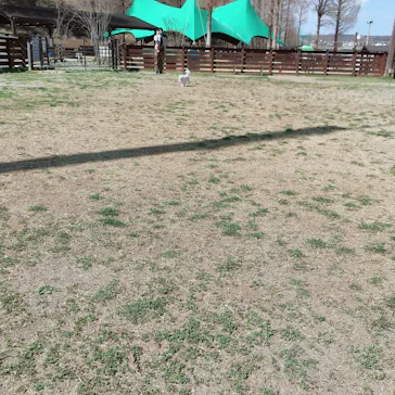 わんダフルネイチャーヴィレッジに投稿された画像（2022/3/14）