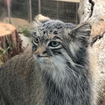 神戸どうぶつ王国に投稿された画像（2022/3/14）
