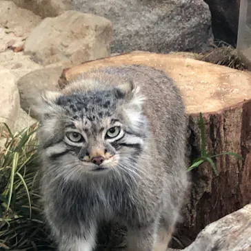 神戸どうぶつ王国に投稿された画像（2022/3/14）
