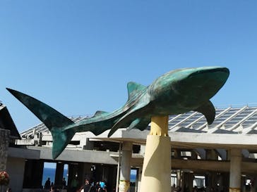 沖縄美ら海水族館に投稿された画像（2022/3/14）