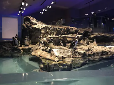 すみだ水族館に投稿された画像（2022/3/14）