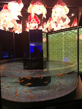 すみだ水族館に投稿された画像（2022/3/14）