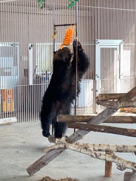 のぼりべつクマ牧場に投稿された画像（2022/3/14）