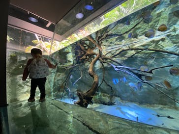 カワスイ 川崎⽔族館に投稿された画像（2022/3/14）