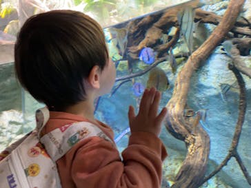 カワスイ 川崎⽔族館に投稿された画像（2022/3/14）