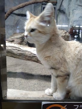 那須どうぶつ王国に投稿された画像（2022/3/14）