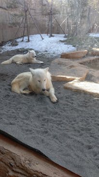 那須どうぶつ王国に投稿された画像（2022/3/14）