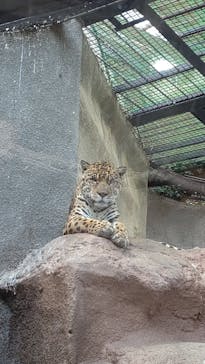 那須どうぶつ王国に投稿された画像（2022/3/14）