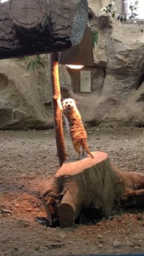 那須どうぶつ王国に投稿された画像（2022/3/14）