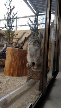 那須どうぶつ王国に投稿された画像（2022/3/14）