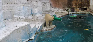 天王寺動物園に投稿された画像（2022/3/14）