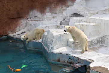 天王寺動物園に投稿された画像（2022/3/14）