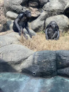 天王寺動物園に投稿された画像（2022/3/14）