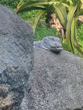 天王寺動物園に投稿された画像（2022/3/14）