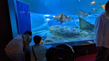 しながわ水族館に投稿された画像（2022/3/14）