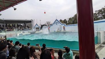 しながわ水族館に投稿された画像（2022/3/14）