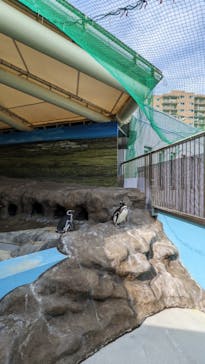 しながわ水族館に投稿された画像（2022/3/14）