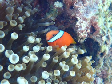 marine assist DEMI（マリンアシストデミ）に投稿された画像（2022/3/14）