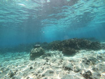 marine assist DEMI（マリンアシストデミ）に投稿された画像（2022/3/14）