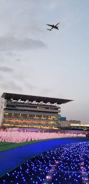 東京メガイルミに投稿された画像（2022/3/14）