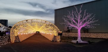 東京メガイルミに投稿された画像（2022/3/14）