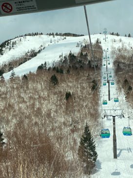 志賀高原マウンテンリゾートに投稿された画像（2022/3/14）