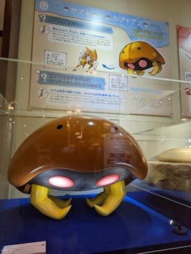 国立科学博物館　特別企画展「ポケモン化石博物館」に投稿された画像（2022/3/15）