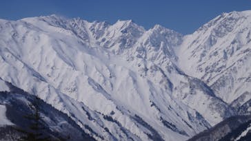 白馬岩岳スノーフィールドに投稿された画像（2022/3/15）