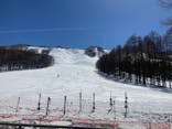 しらかば2in1スキー場に投稿された画像（2022/3/15）