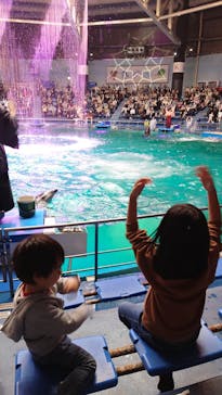 マクセル アクアパーク品川に投稿された画像（2022/3/13）