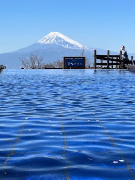 伊豆パノラマパークに投稿された画像（2022/3/15）