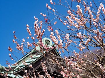 感動写真体験会に投稿された画像（2022/3/15）