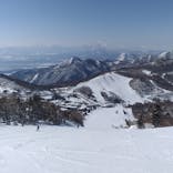 志賀高原中央エリアスキー場に投稿された画像（2022/3/15）