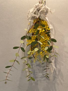 アトリエひわだやに投稿された画像（2022/3/15）