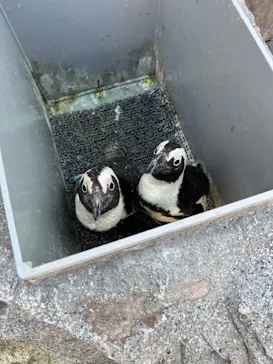 横浜・八景島シーパラダイスに投稿された画像（2022/3/15）