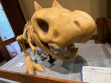 国立科学博物館　特別企画展「ポケモン化石博物館」に投稿された画像（2022/3/15）